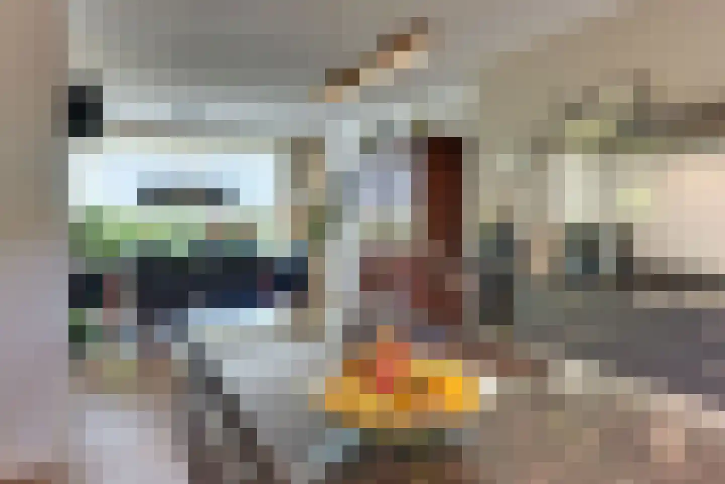 Mastmeen 41 Harderwijk thumbnail 13