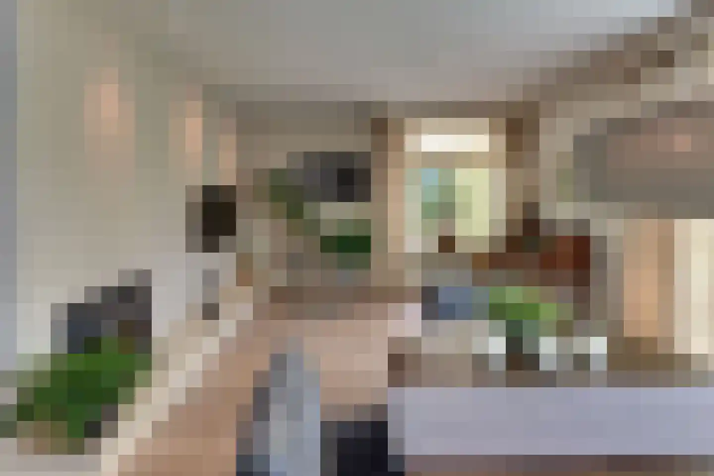 Mastmeen 41 Harderwijk thumbnail 16