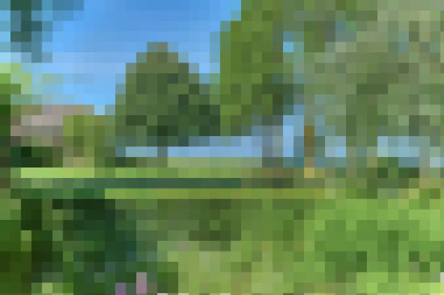 Mastmeen 41 Harderwijk thumbnail 25
