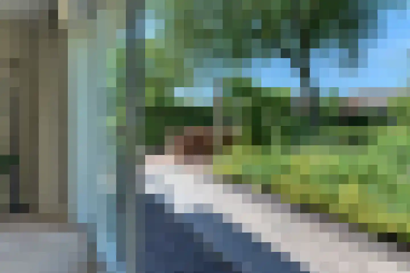 Mastmeen 41 Harderwijk thumbnail 30