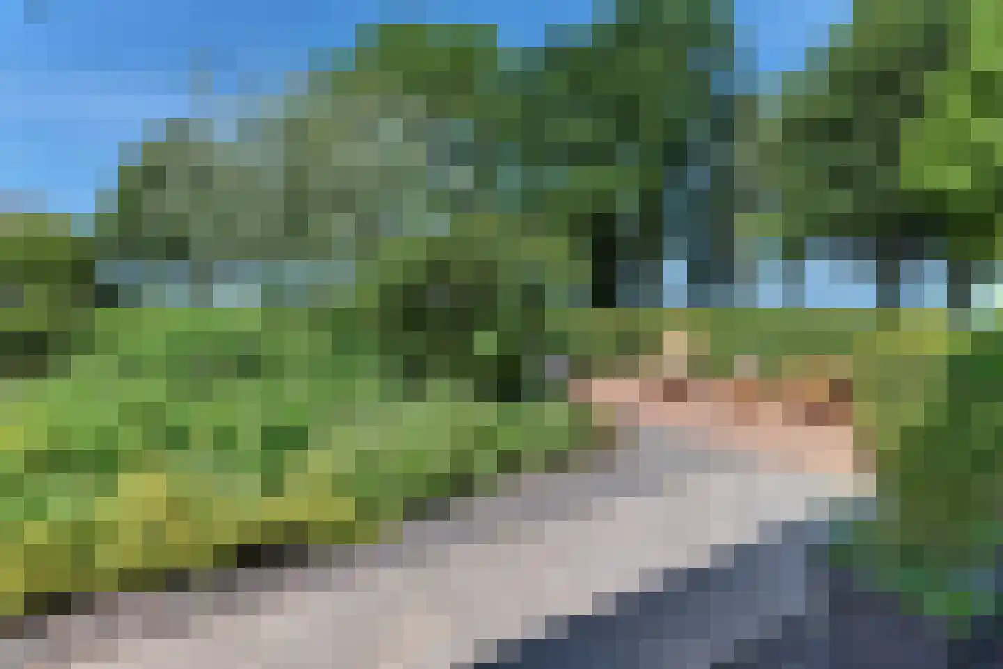 Mastmeen 41 Harderwijk thumbnail 31