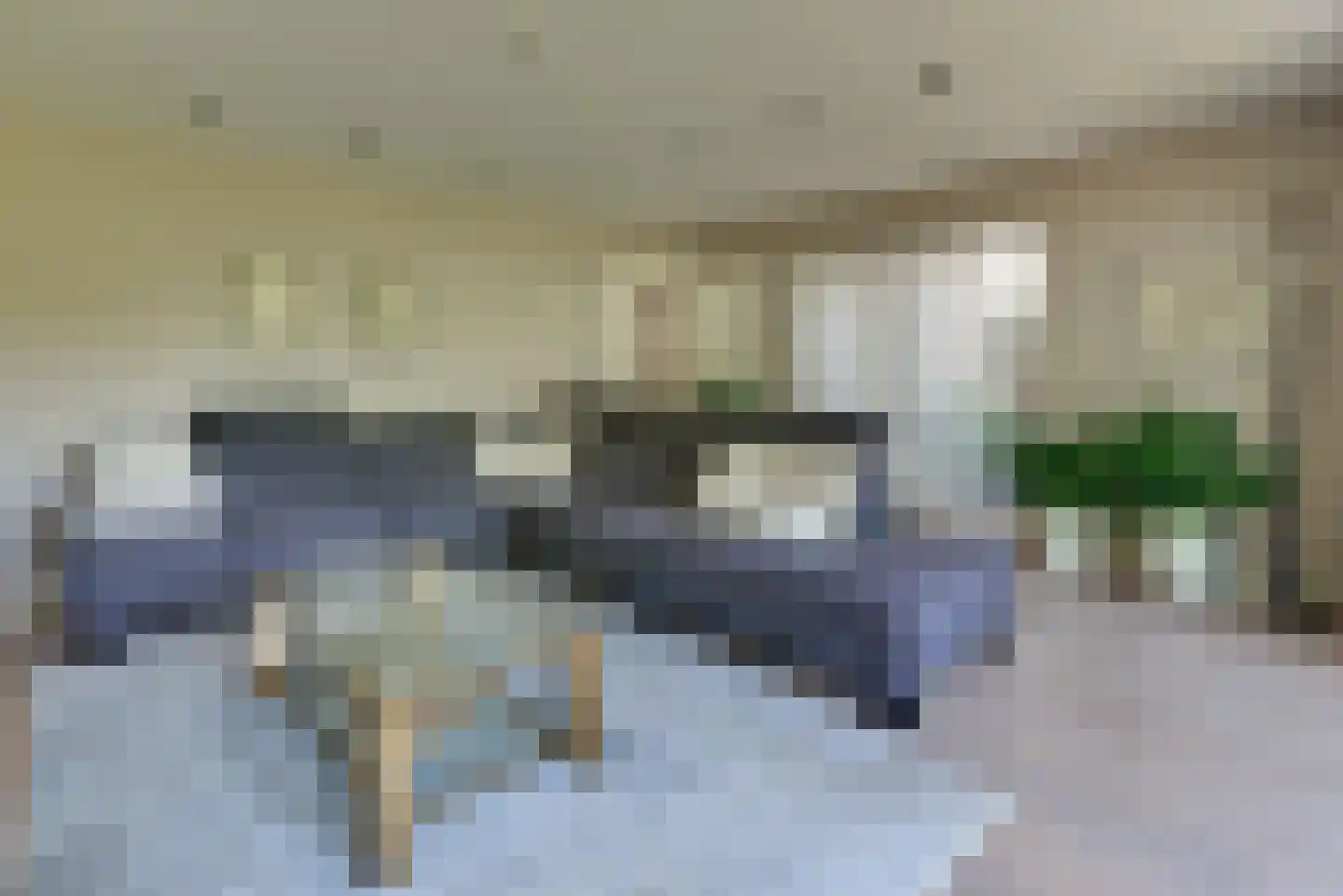 Mastmeen 41 Harderwijk thumbnail 33