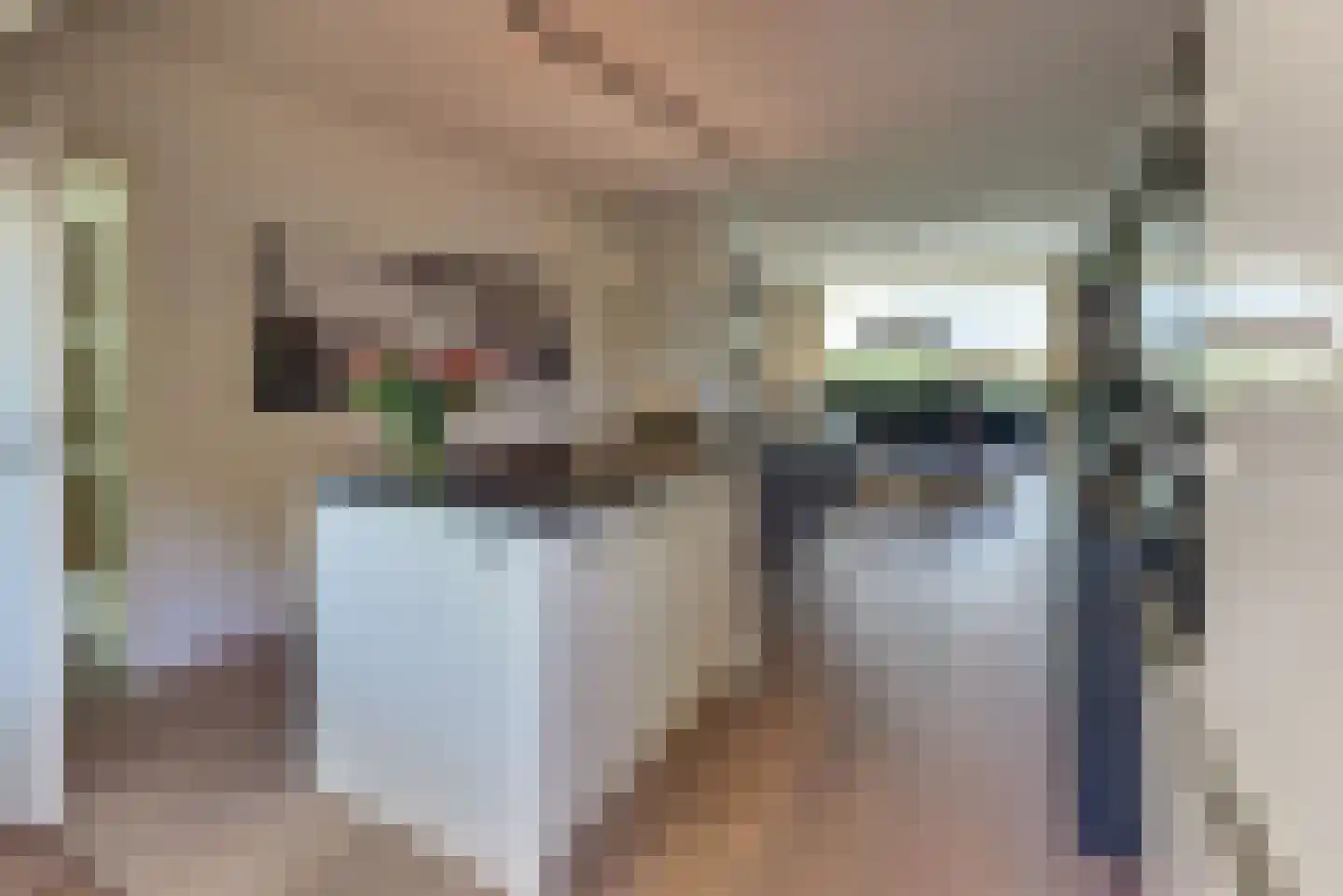 Mastmeen 41 Harderwijk thumbnail 4