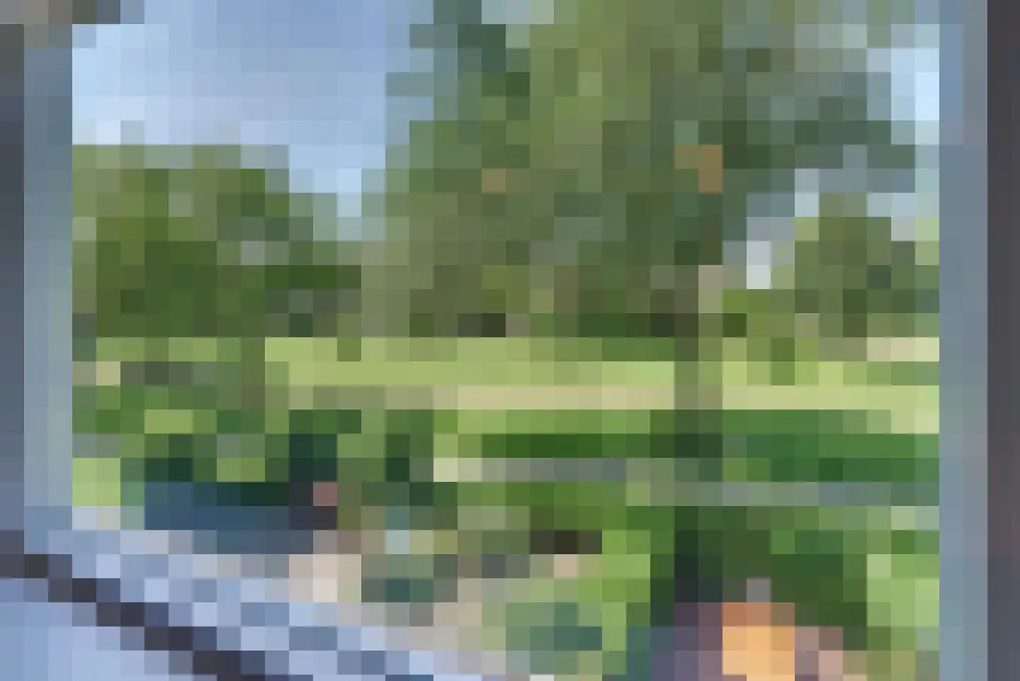 Mastmeen 41 Harderwijk thumbnail 50