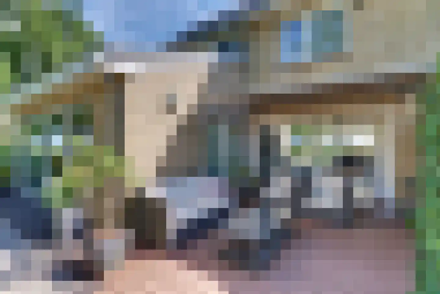 Mastmeen 41 Harderwijk thumbnail 57