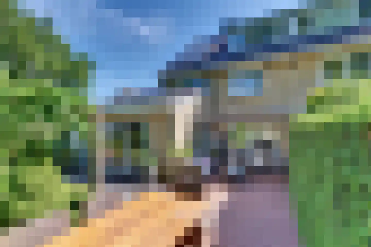 Mastmeen 41 Harderwijk thumbnail 6