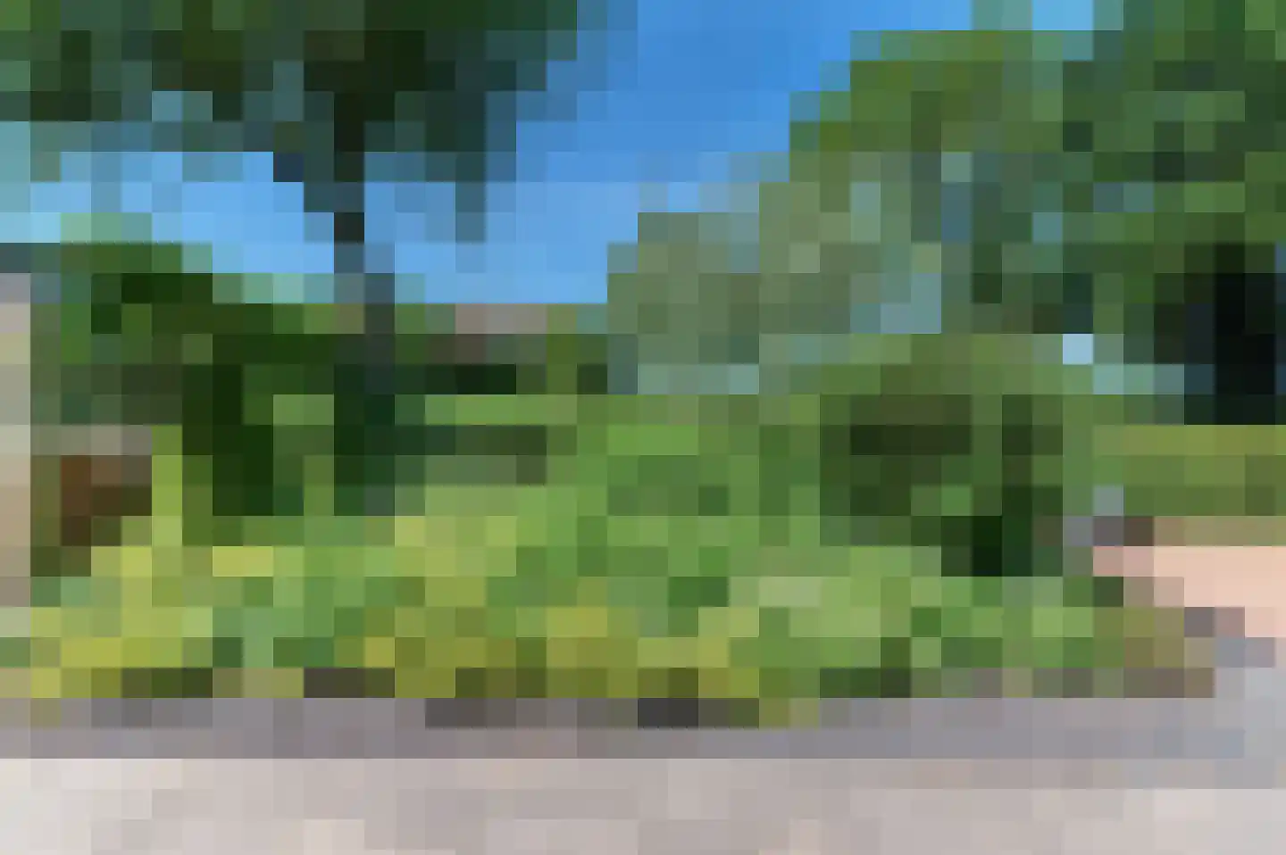 Mastmeen 41 Harderwijk thumbnail 60