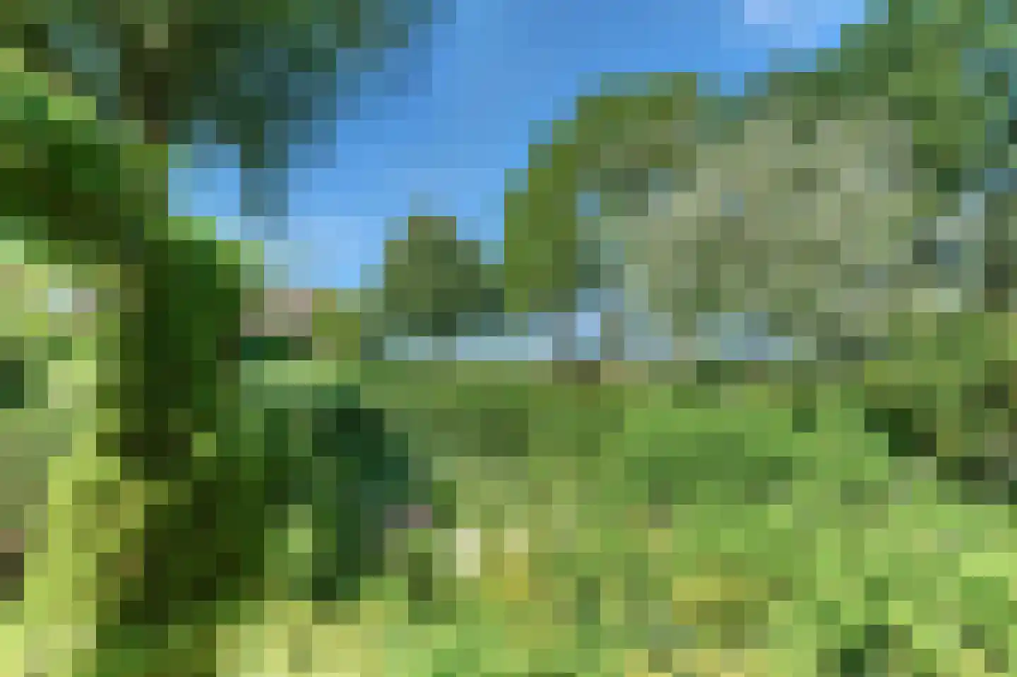 Mastmeen 41 Harderwijk thumbnail 63