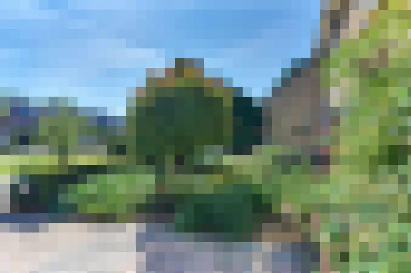 Mastmeen 41 Harderwijk thumbnail 72