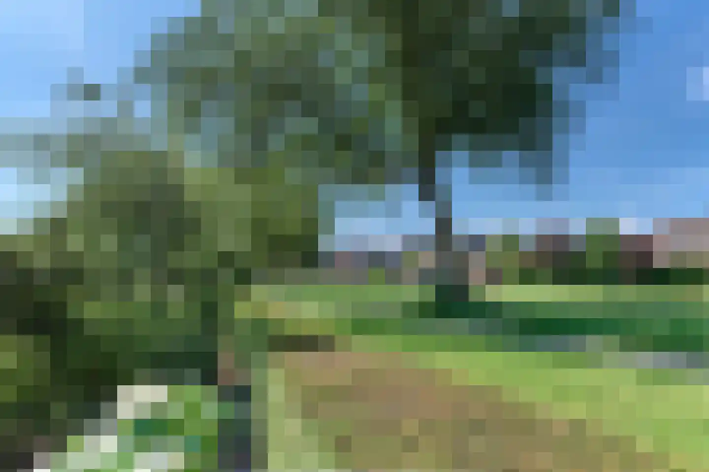 Mastmeen 41 Harderwijk thumbnail 77
