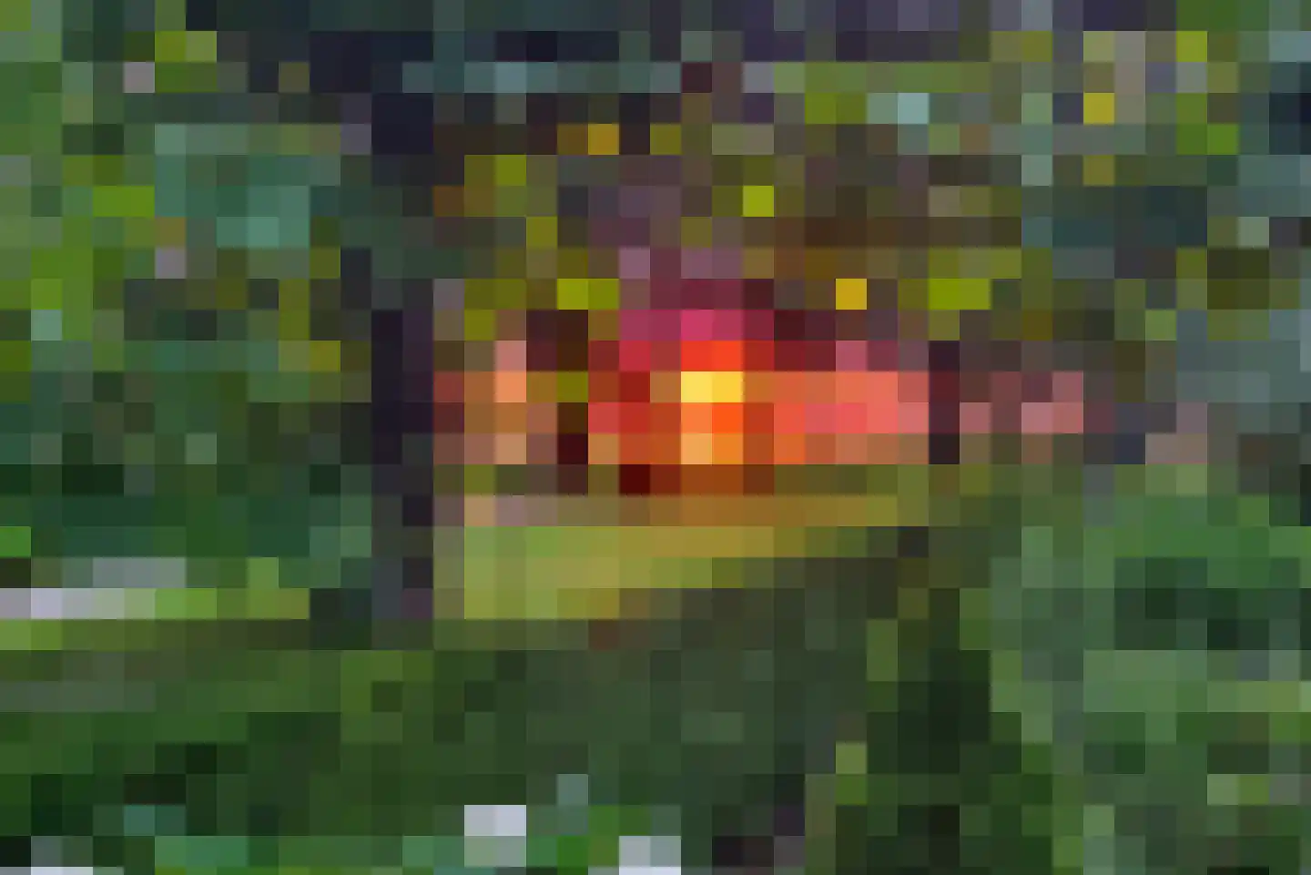 Mastmeen 41 Harderwijk thumbnail 78