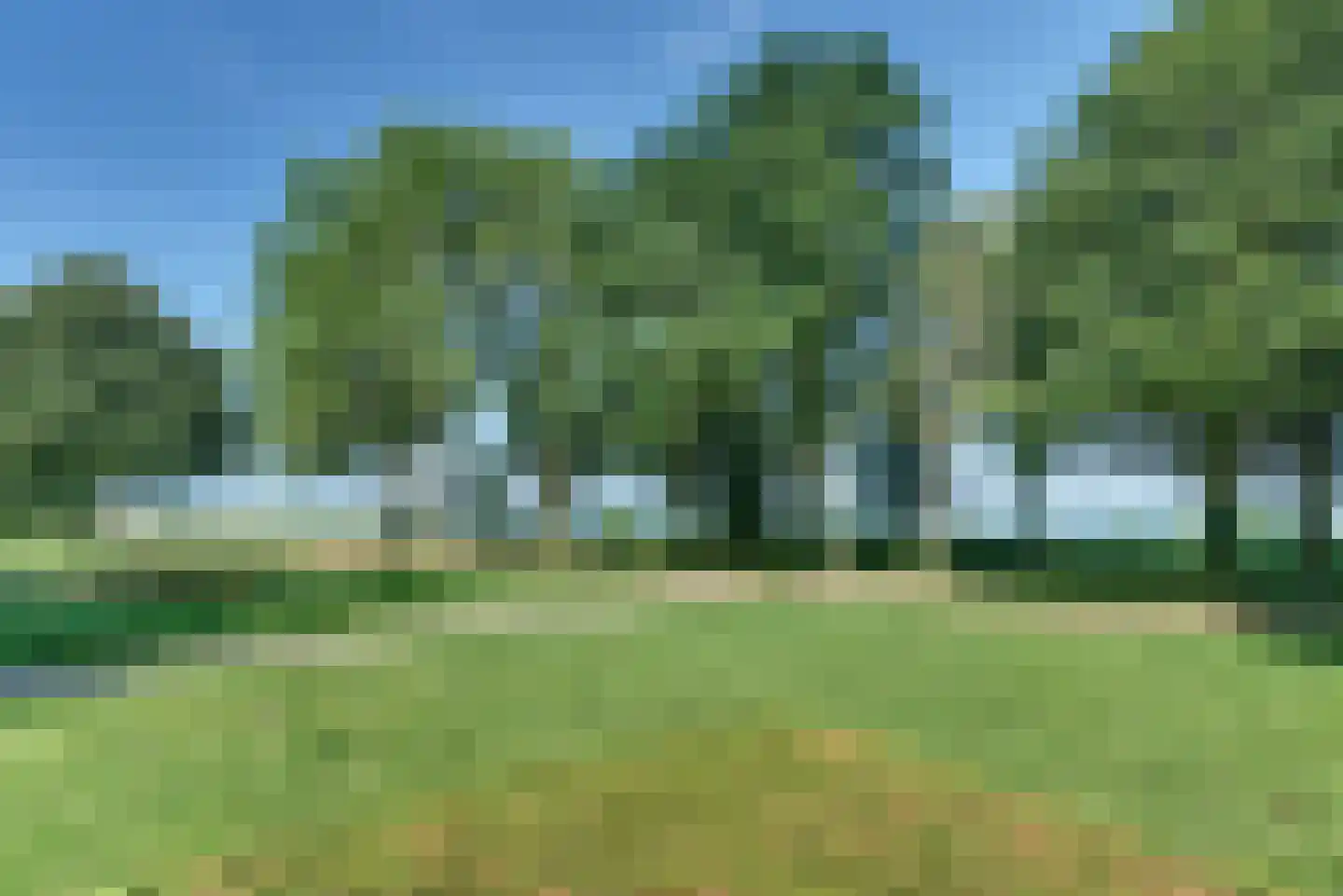 Mastmeen 41 Harderwijk thumbnail 79