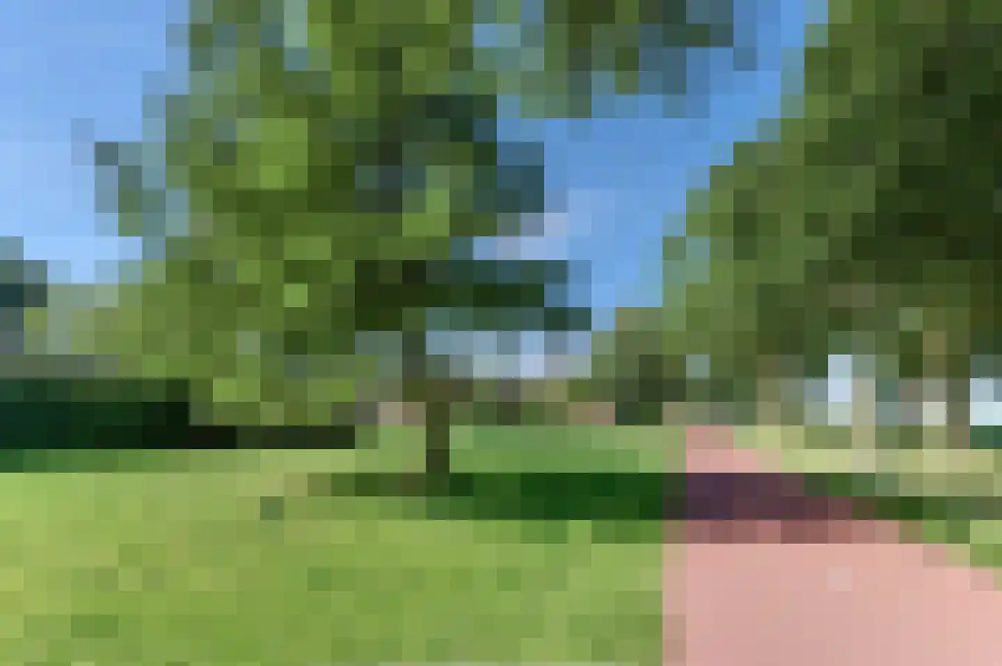 Mastmeen 41 Harderwijk thumbnail 80
