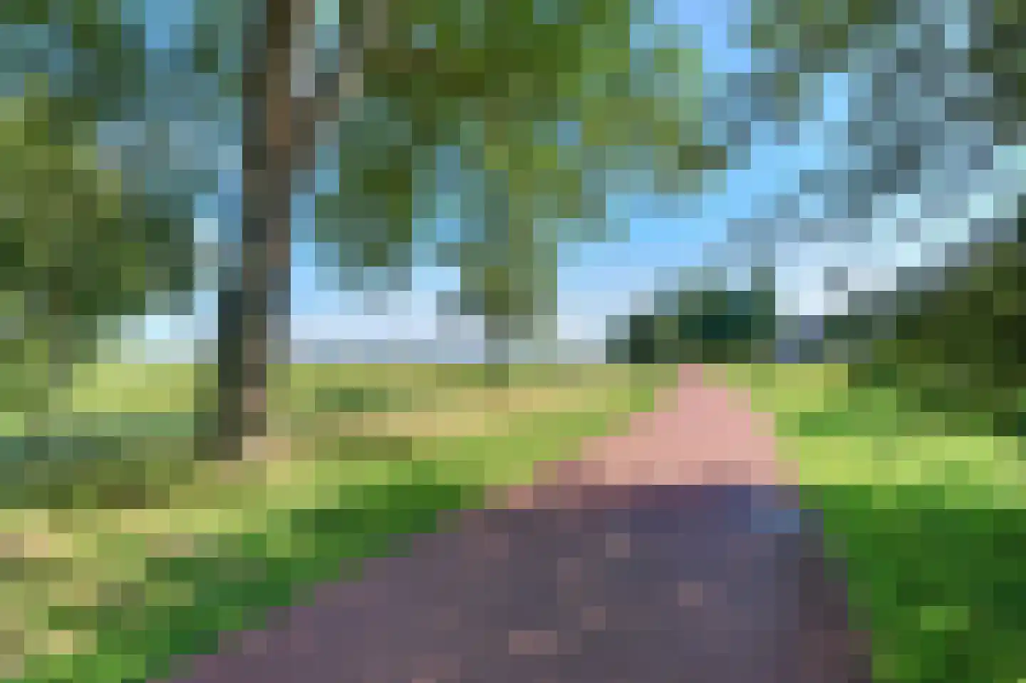 Mastmeen 41 Harderwijk thumbnail 81