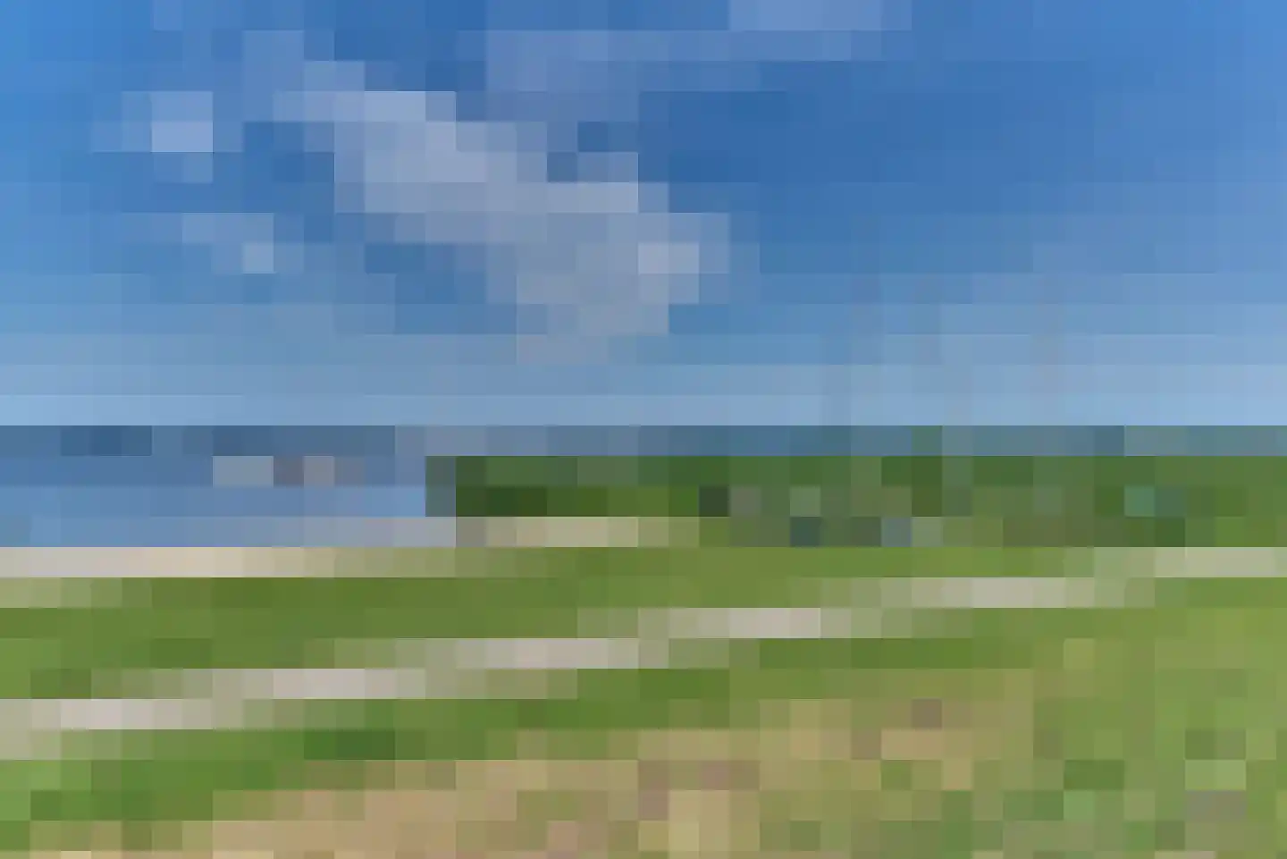 Mastmeen 41 Harderwijk thumbnail 84