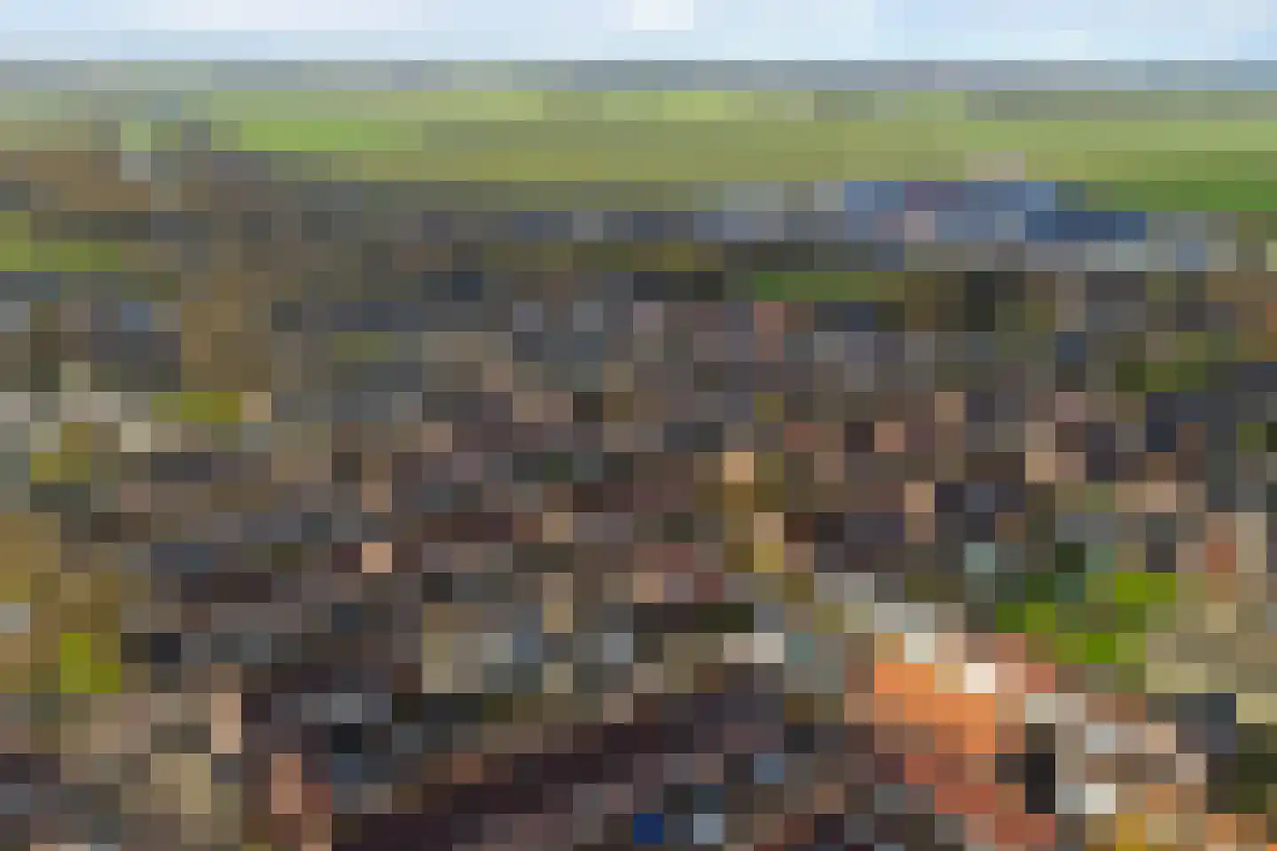 Mastplein 37 Den Bommel thumbnail 45