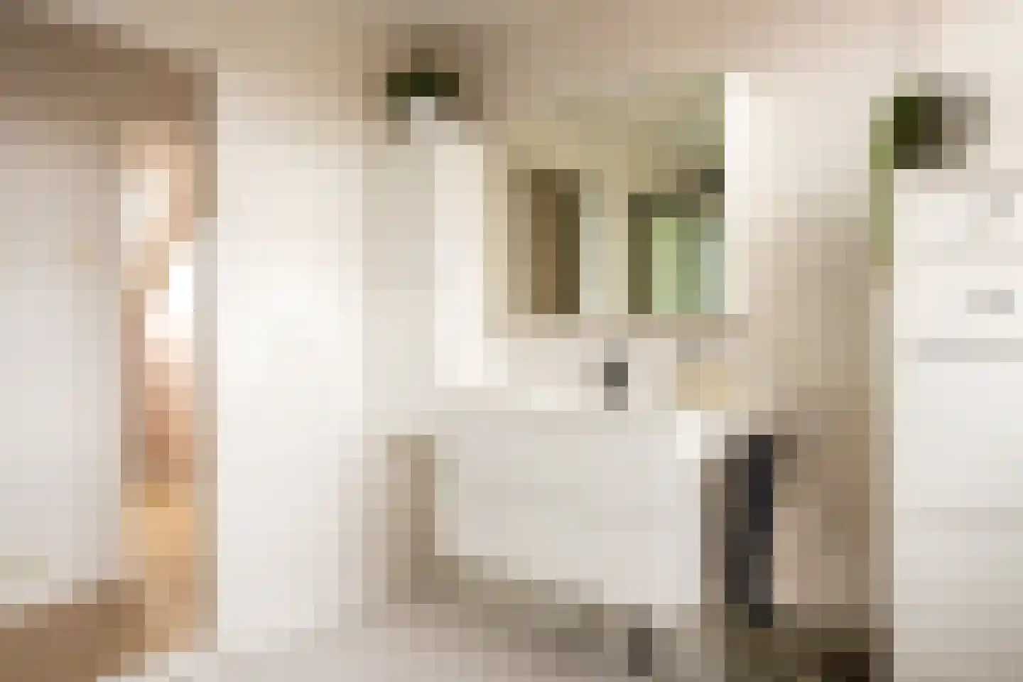 Maststraat 18 Hoogerheide thumbnail 27