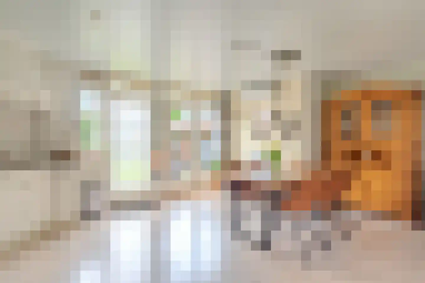 Maststraat 21 Hoogerheide thumbnail 13