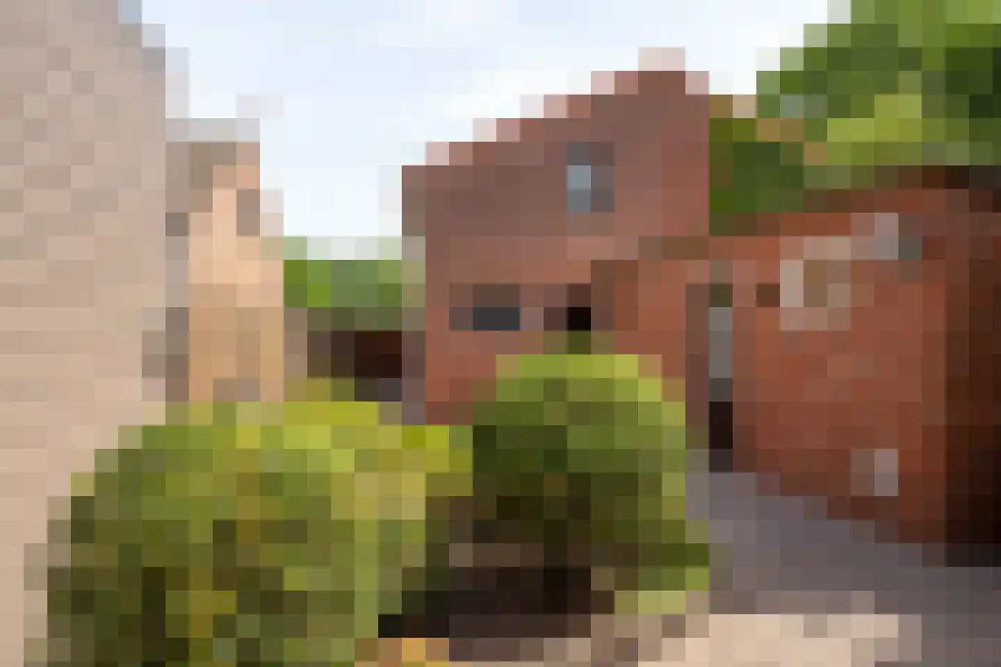 Maststraat 70 Hoogerheide thumbnail 24