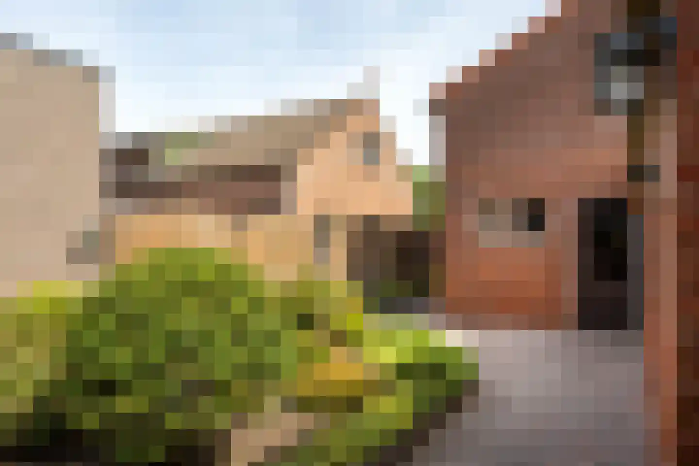 Maststraat 70 Hoogerheide thumbnail 26