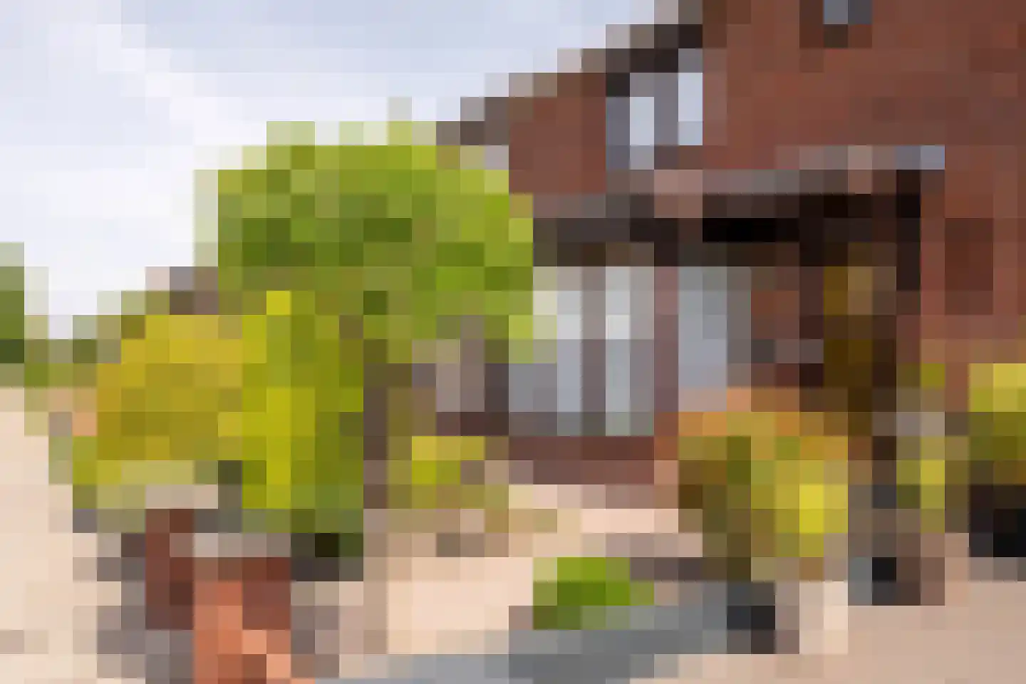 Maststraat 70 Hoogerheide thumbnail 34