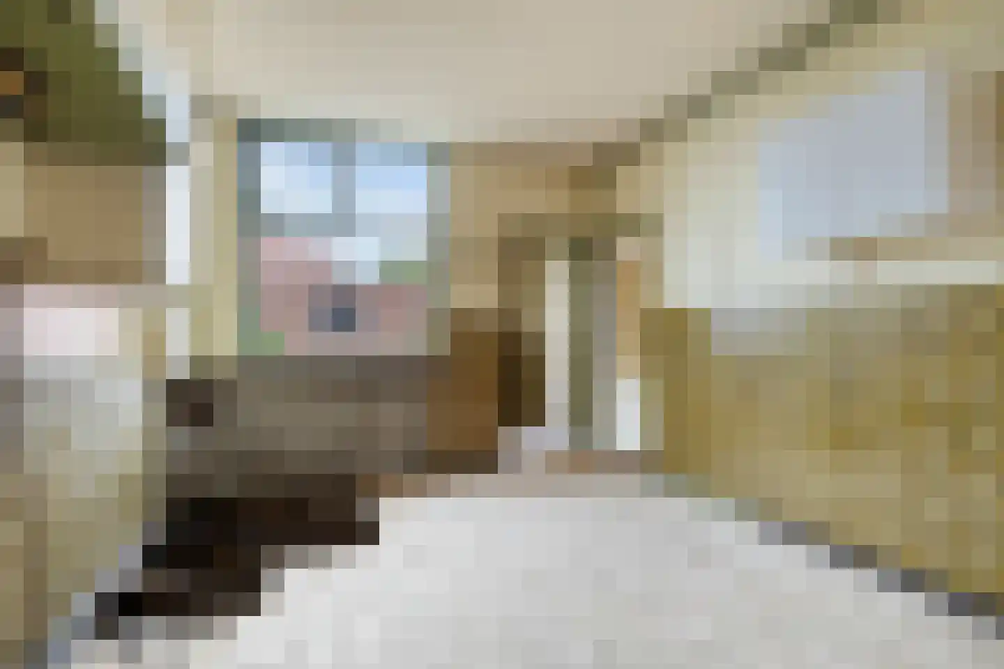 Maststraat 8 Hoogerheide thumbnail 10