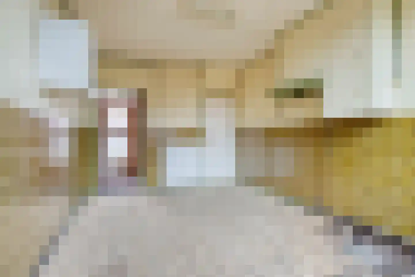 Maststraat 8 Hoogerheide thumbnail 11