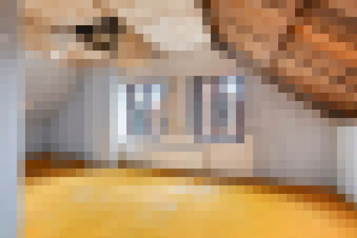 Maststraat 8 Hoogerheide thumbnail 21