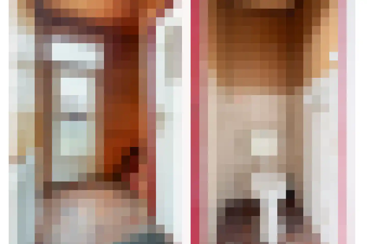 Maststraat 8 Hoogerheide thumbnail 9
