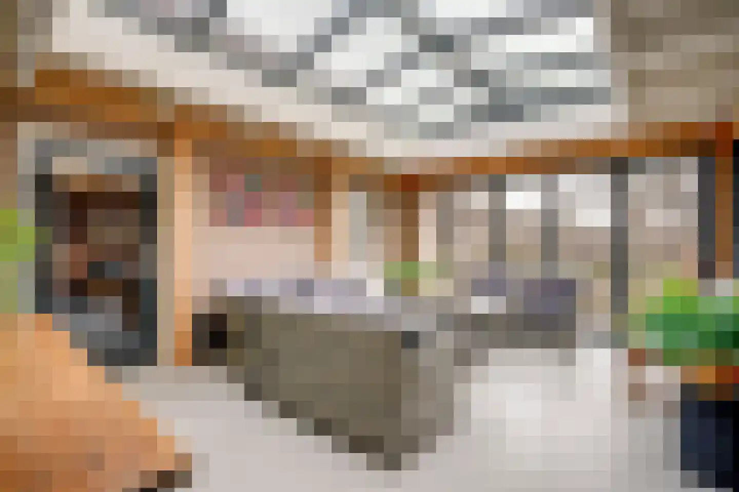 Mastwijkerdijk 24 Montfoort thumbnail 16