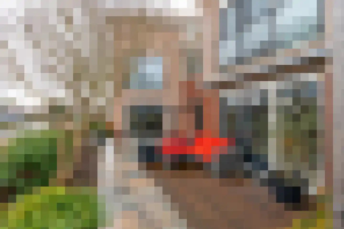 Mastwijkerdijk 24 Montfoort thumbnail 18