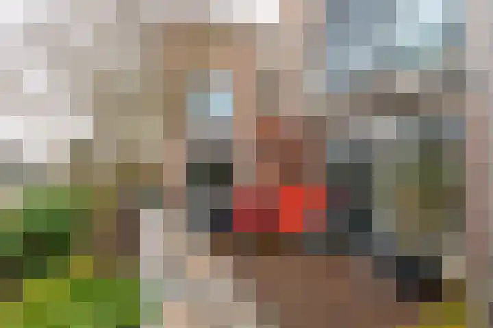 Mastwijkerdijk 24 Montfoort thumbnail 18