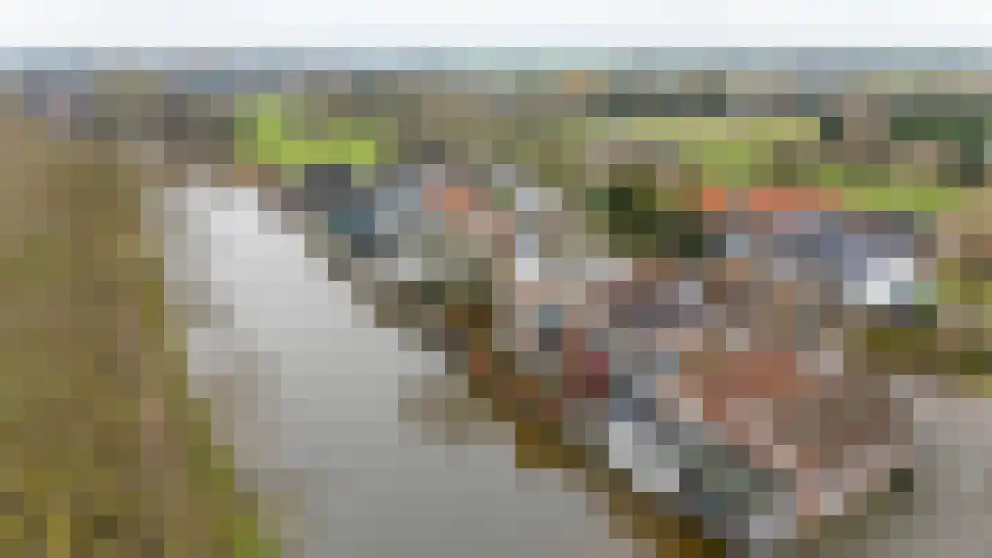 Mastwijkerdijk 24 Montfoort thumbnail 36