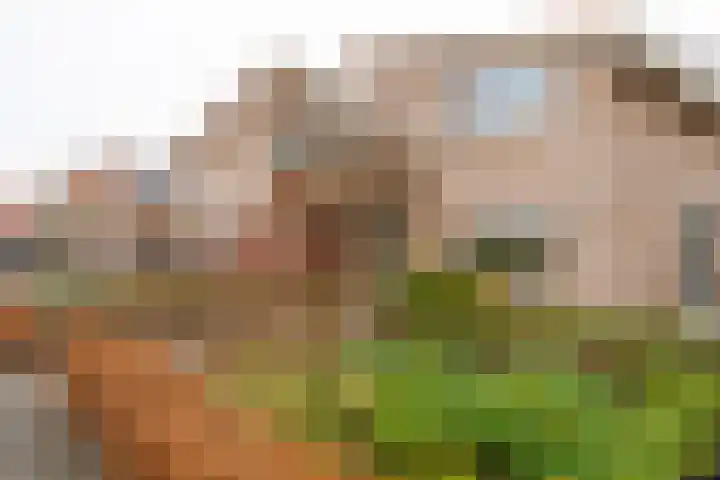Mastwijkerdijk 24 Montfoort thumbnail 4