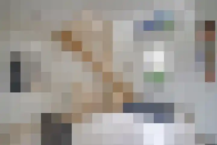 Mastwijkerdijk 24 Montfoort thumbnail 7