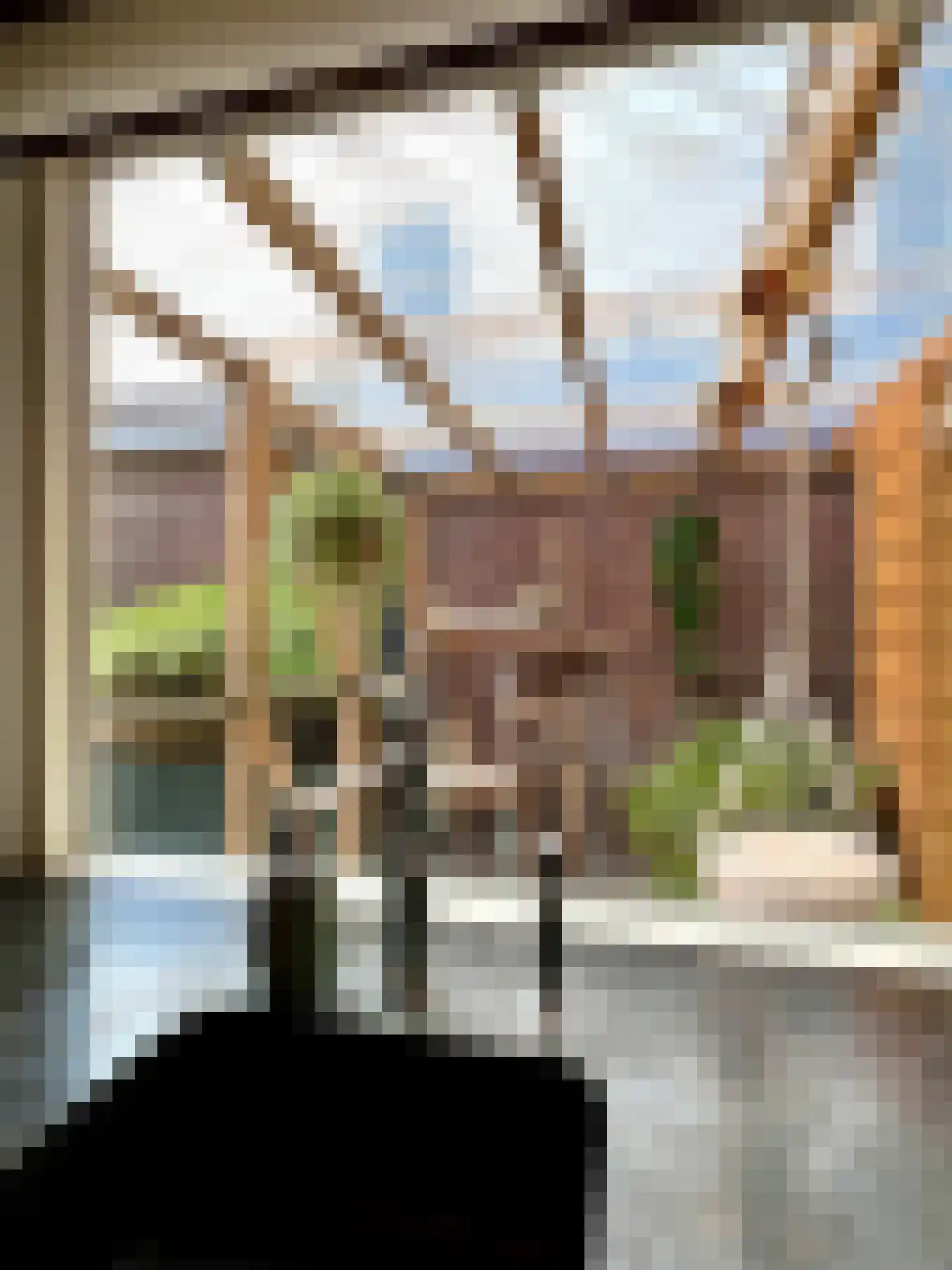 Mastwijkerdijk 36 Montfoort thumbnail 13