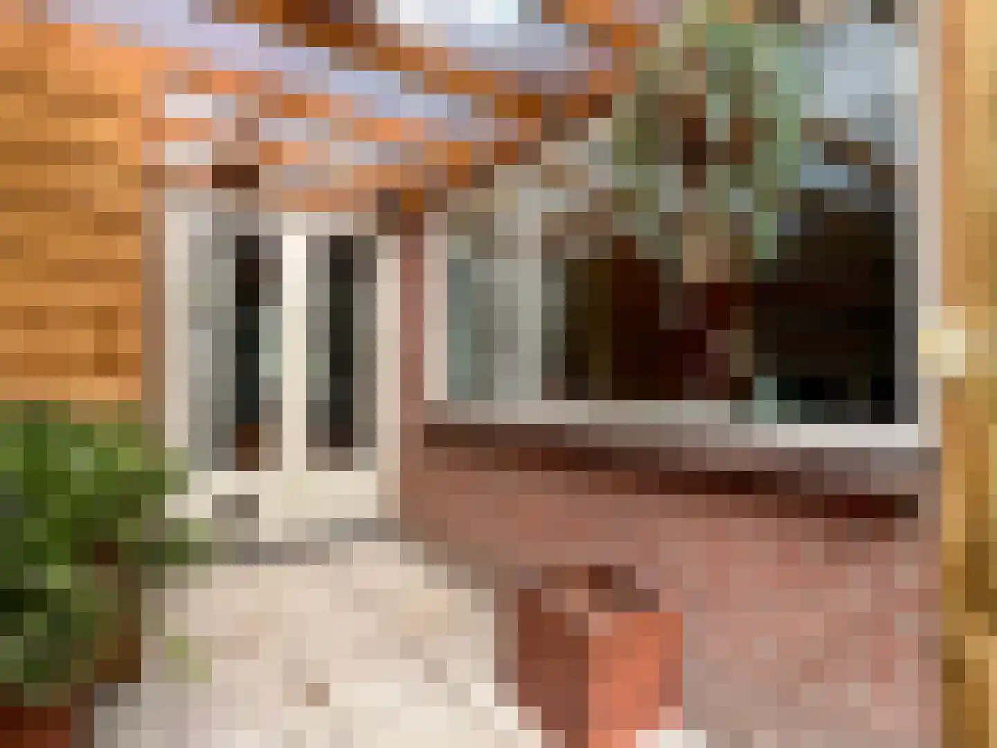 Mastwijkerdijk 36 Montfoort thumbnail 18