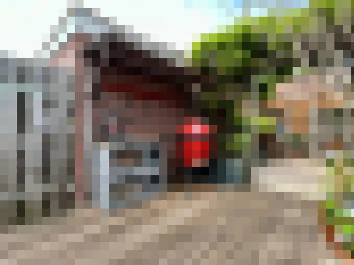 Mastwijkerdijk 36 Montfoort thumbnail 20