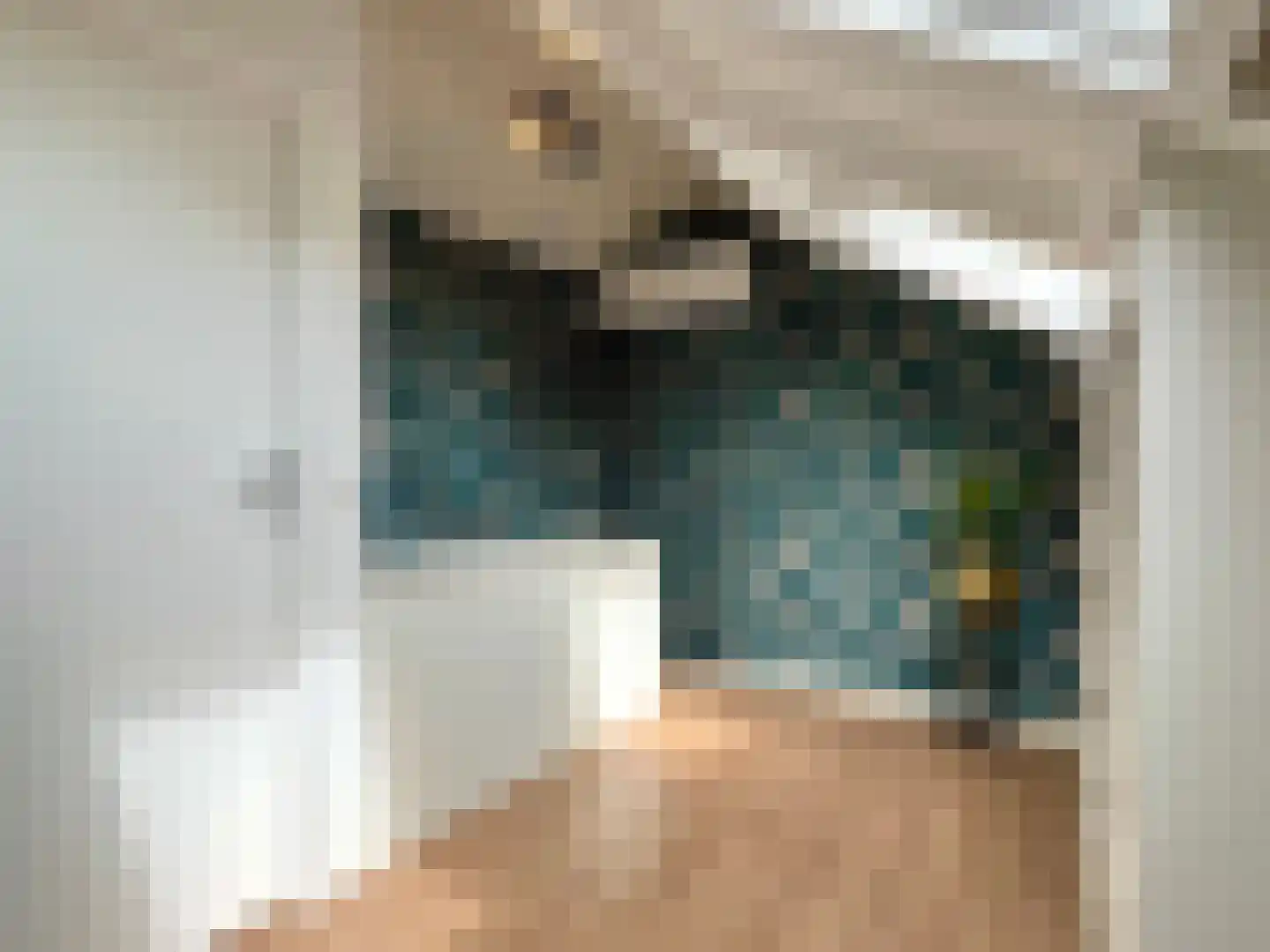 Mastwijkerdijk 36 Montfoort thumbnail 34