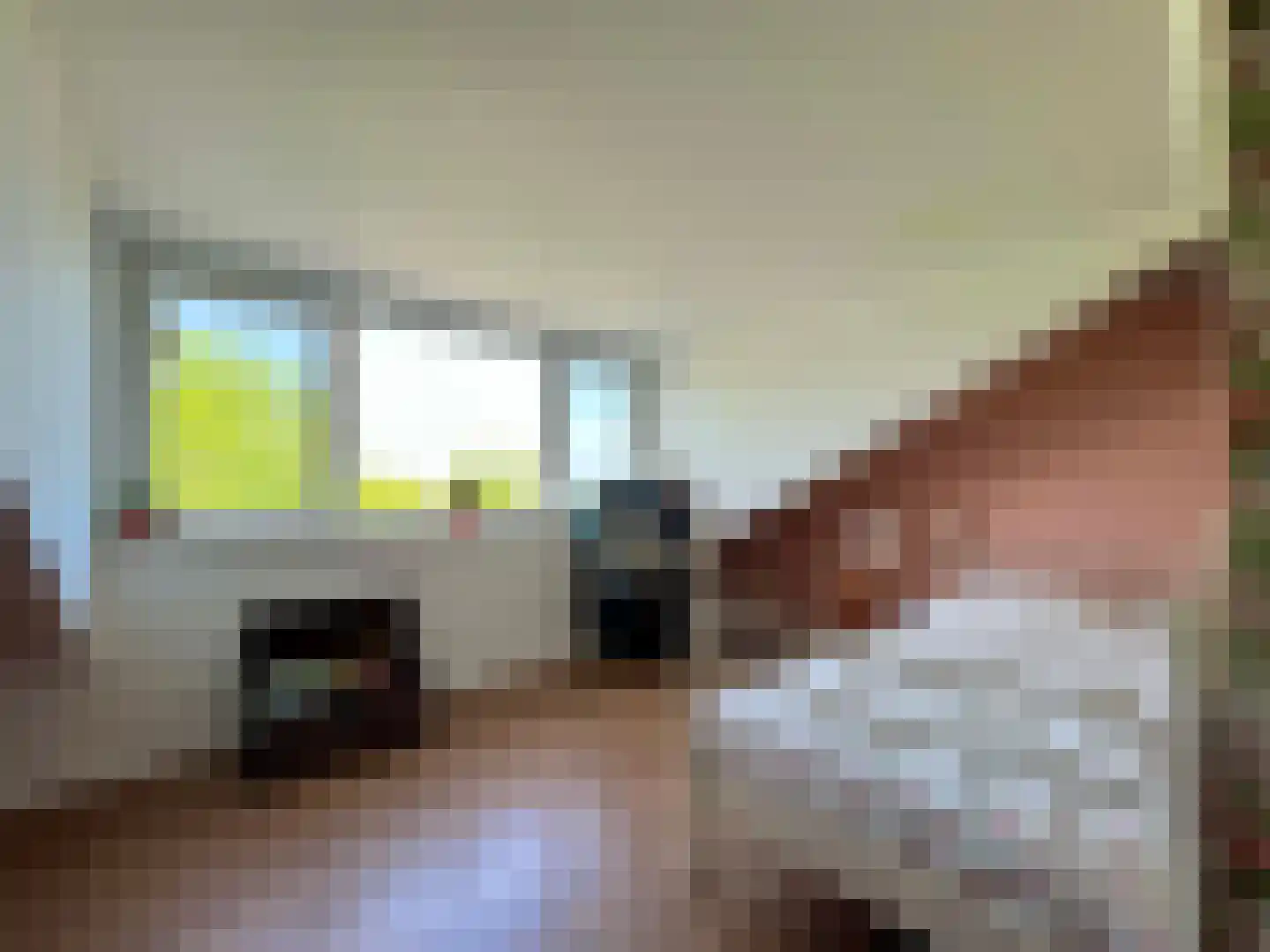 Mastwijkerdijk 36 Montfoort thumbnail 37