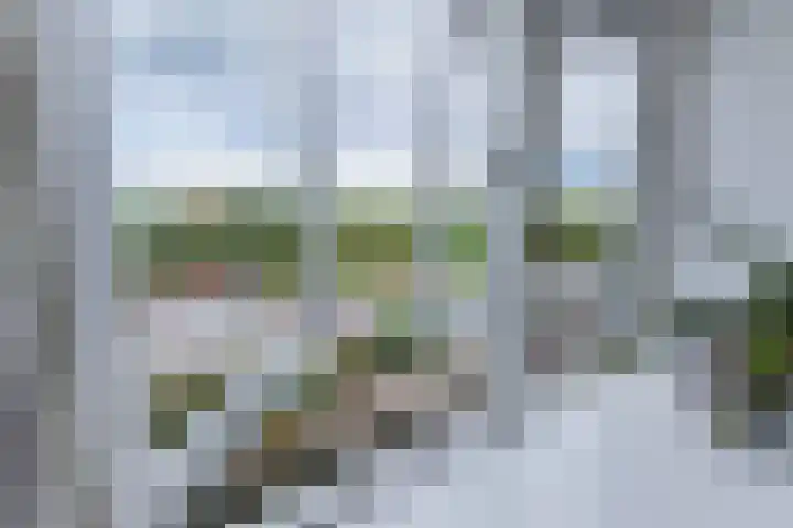 Mastwijkerdijk 42 Montfoort thumbnail 30