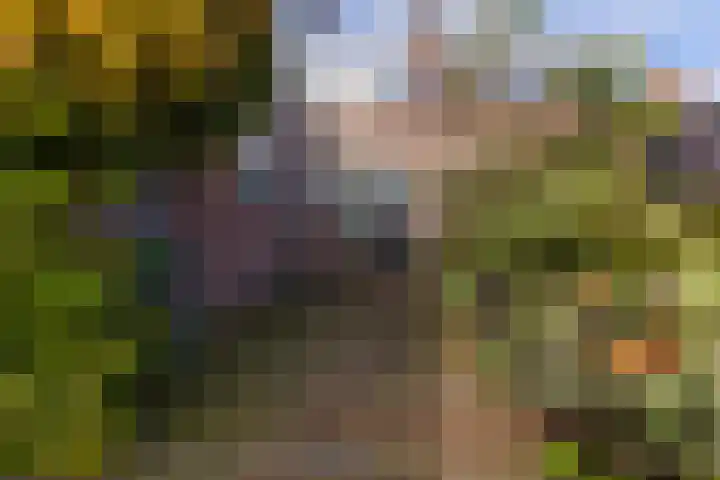 Mastwijkerdijk 42 Montfoort thumbnail 33