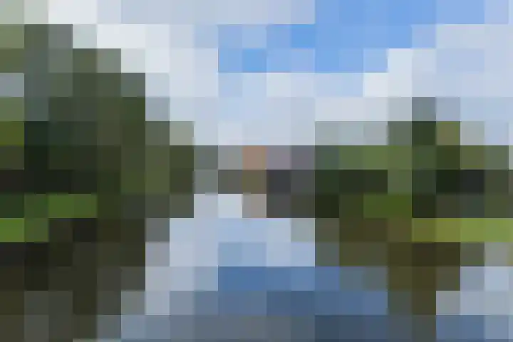 Mastwijkerdijk 42 Montfoort thumbnail 41