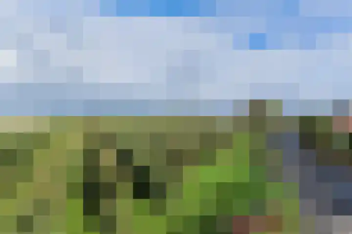 Mastwijkerdijk 42 Montfoort thumbnail 43