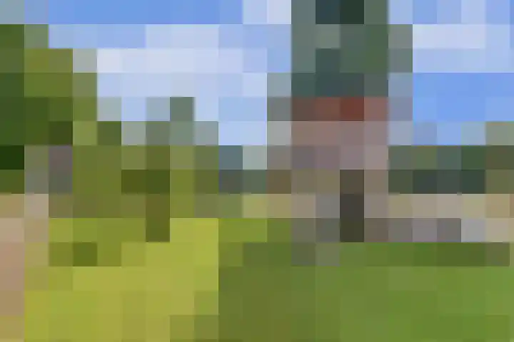 Mastwijkerdijk 54 Montfoort thumbnail 30