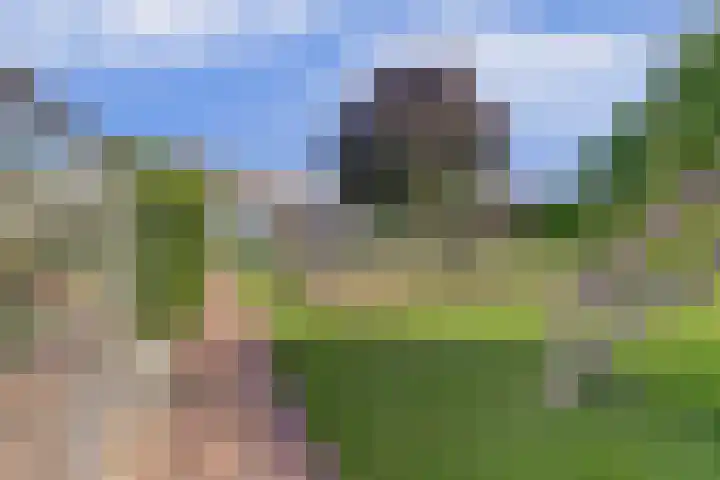Mastwijkerdijk 54 Montfoort thumbnail 31