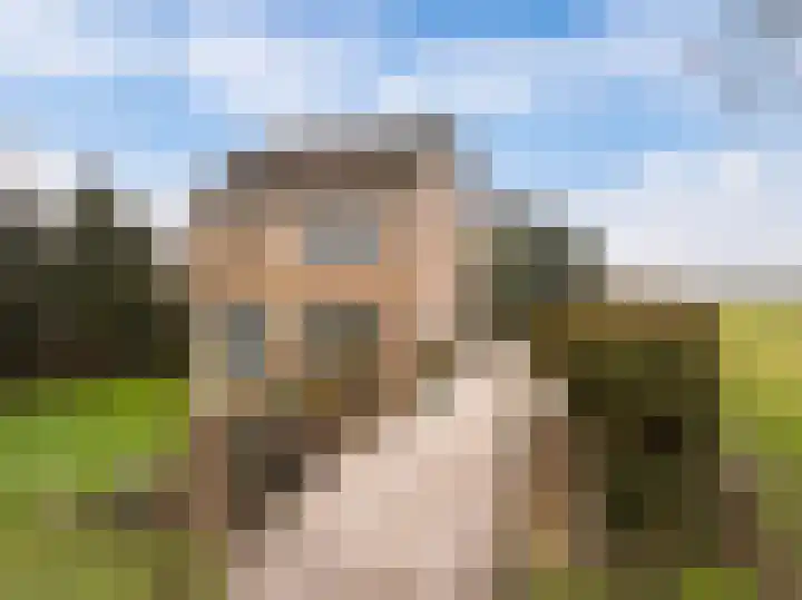 Mastwijkerdijk 90 Montfoort thumbnail 10