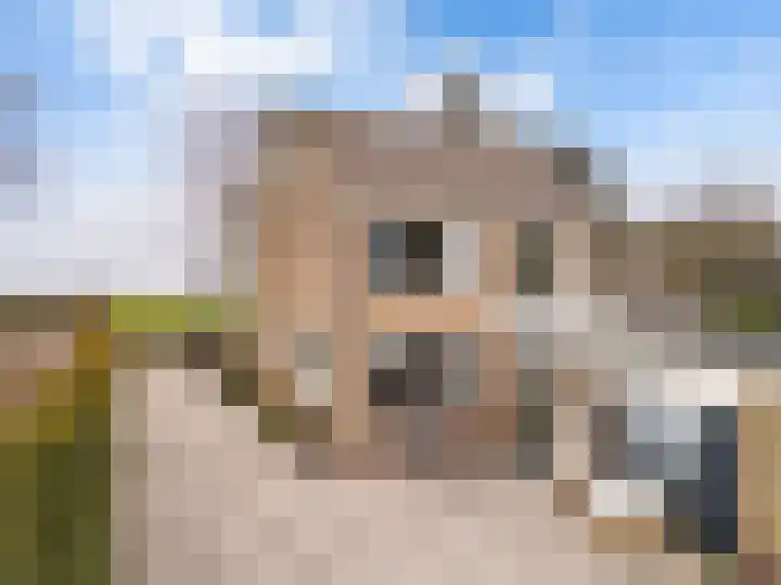 Mastwijkerdijk 90 Montfoort thumbnail 11