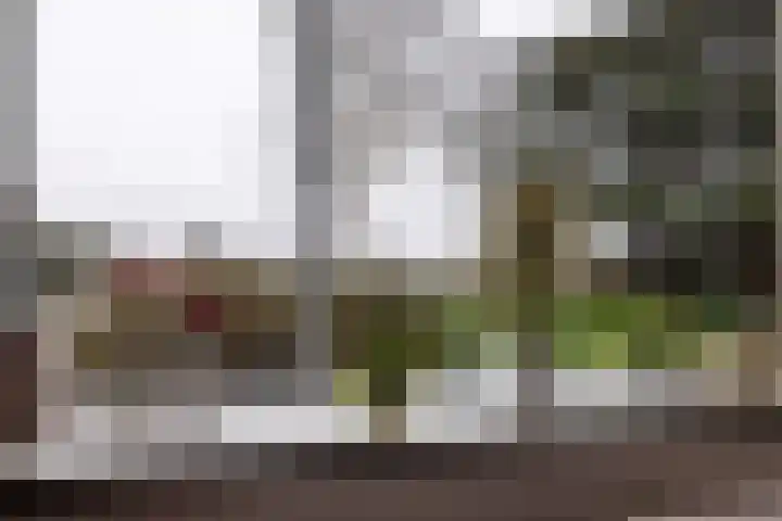 Mastwijkerdijk 90 Montfoort thumbnail 17