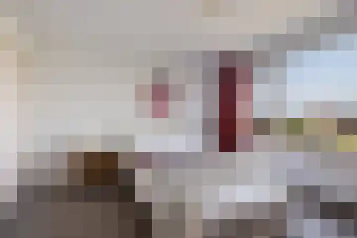 Mastwijkerdijk 90 Montfoort thumbnail 32